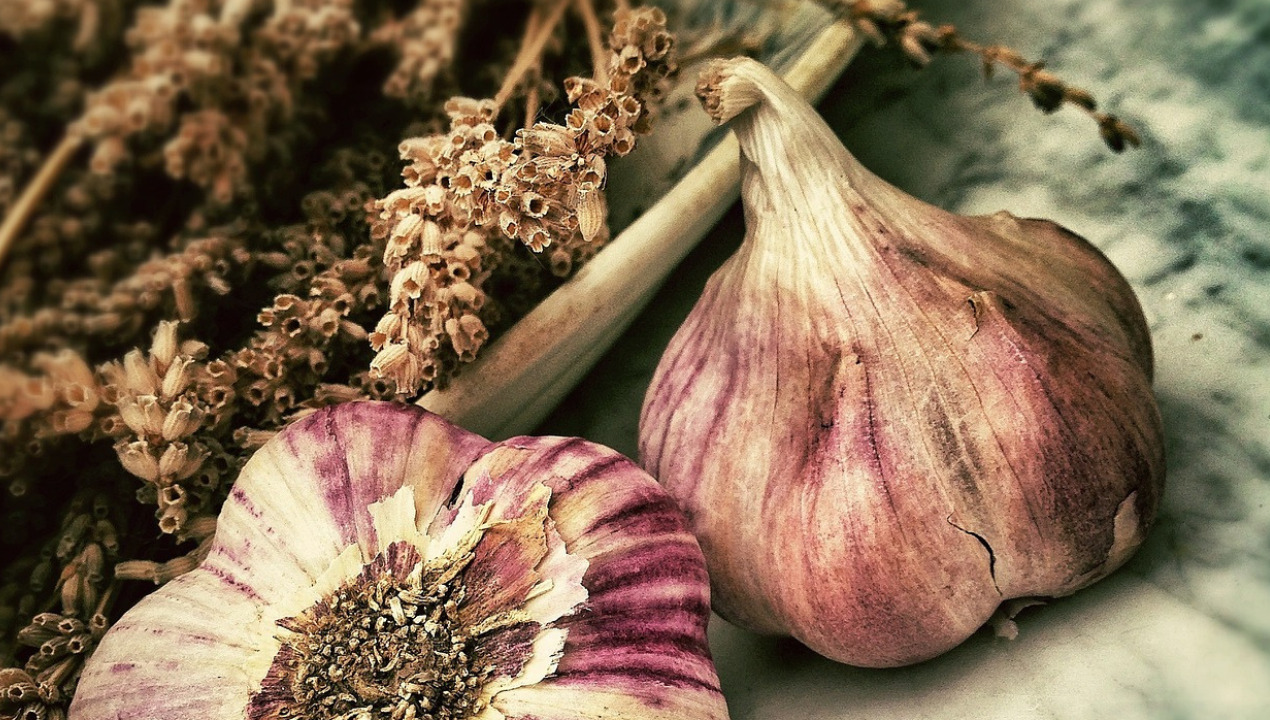 Garlic - More Than Just Flavor